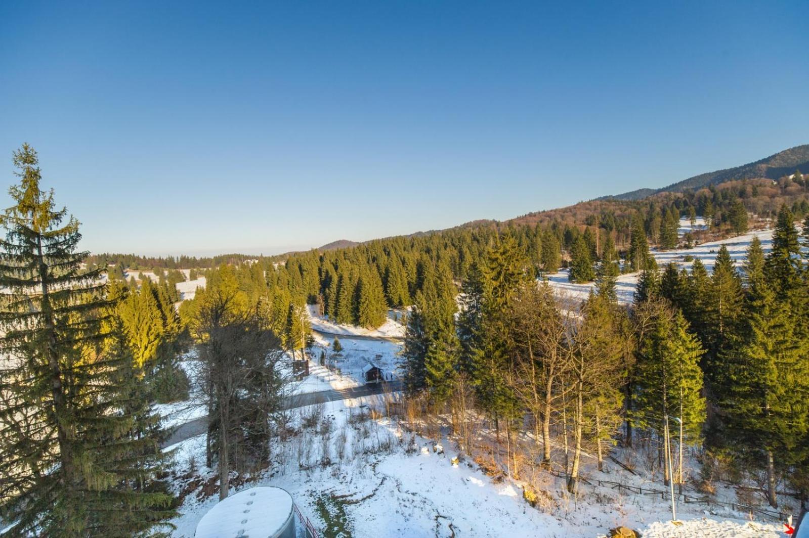 Pine Woods Apartment A43 In Silver Mountain Poiana Brasov Exterior foto